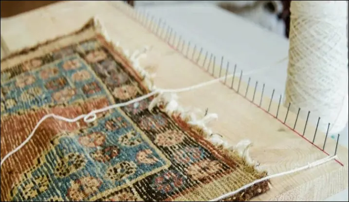 ریشه زنی